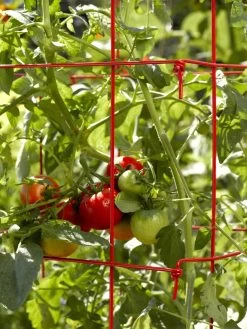Tomato Cages, Set Of 4 -Garden Supplies Store 34182 592