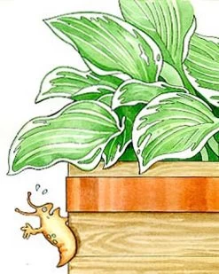 Copper Slug Tape -Garden Supplies Store 38 994 b