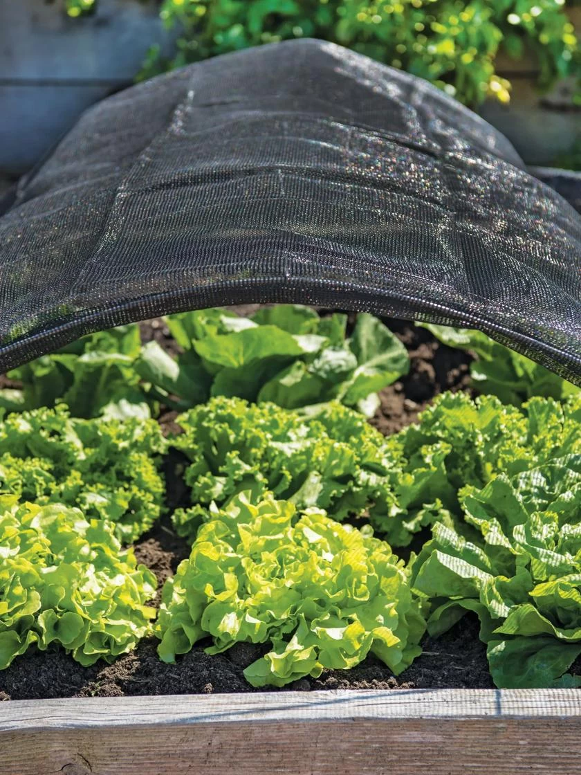 Shade Nets 1 Shade Nets