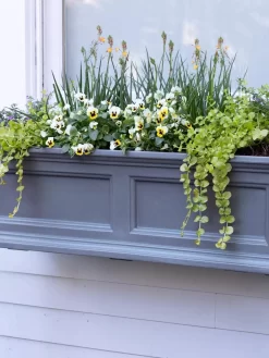 Fairfield Self-Watering Window Box, 3’ -Garden Supplies Store 39 344 9360 tif