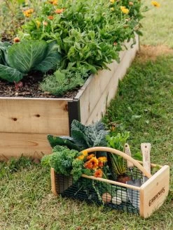 Garden Hods -Garden Supplies Store 39 761 572 tif