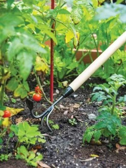 Gardener's Lifetime Long-Handled Double Tool -Garden Supplies Store 3 4 crop 8592107 2460 tif