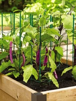 Pepper And Eggplant Stakes, Set Of 3 -Garden Supplies Store 40308 2116 tif
