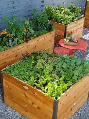 Elevated Raised Bed, 4' X 4' 2 Elevated Raised Bed, 4' X 4' - Image 2