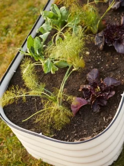 Birdies™ Modular Metal Raised Bed -Garden Supplies Store 8586930 6019 tif