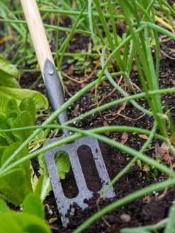 Gardener's Lifetime Spork -Garden Supplies Store 8586973 2383 tif