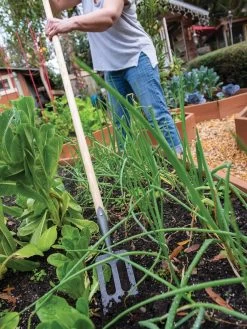 New Arrival -Garden Supplies Store 8586973 2385 tif