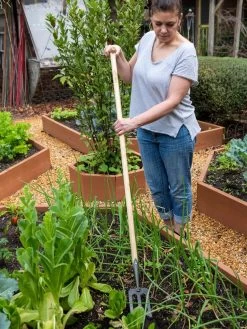 Gardener's Lifetime Spork -Garden Supplies Store 8586973 2405 tif