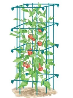 Tomato Cage, Single -Garden Supplies Store 8587039 TomatoCage BLUE tif