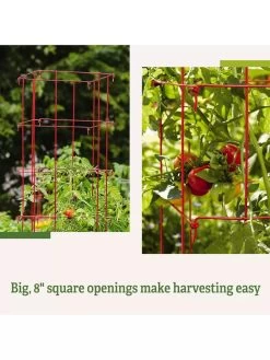 Tomato Cages, Set Of 4 -Garden Supplies Store 8587040 2