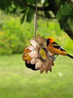 Oriole Jelly Feeder