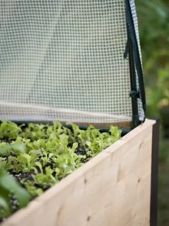 Protection Frame & Covers, 2' X 4' -Garden Supplies Store 8587631 265 tif