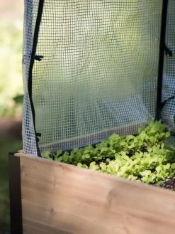 Protection Frame & Covers, 2' X 4' -Garden Supplies Store 8587631 268 tif