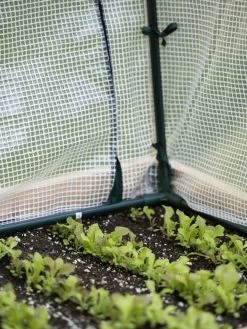 Protection Frame & Covers, 2' X 4' -Garden Supplies Store 8587631 271 tif