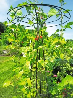 Essex Tuteur, 78" -Garden Supplies Store 8587861 100 tif