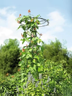 Essex Tuteur, 78" -Garden Supplies Store 8587861 4160 tif