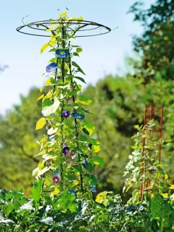 Essex Tuteur, 78" -Garden Supplies Store 8587861 5028 tif