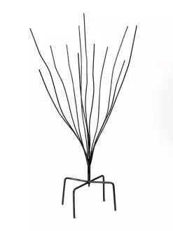 Bottle Bush -Garden Supplies Store 8588047 0697