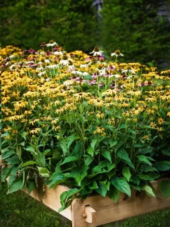 Farmstead Cedar Raised Garden Beds, 2' -Garden Supplies Store 8588144 014V tif