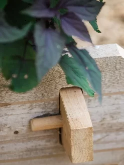 Farmstead Cedar Raised Garden Beds, 2' -Garden Supplies Store 8588144 12V tif