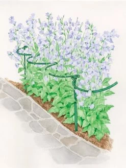 Tidy Path Supports -Garden Supplies Store 8588403 003 1