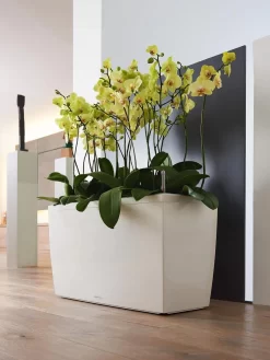 Lechuza® Cararo Rectangular Indoor Planter With Casters