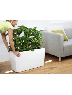 Lechuza® Cararo Rectangular Indoor Planter With Casters -Garden Supplies Store 8590295 03v