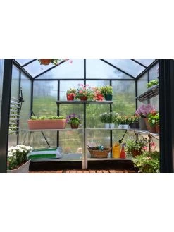Canopia® By Palram Glory™ Greenhouse, 8' -Garden Supplies Store 8591547 02v