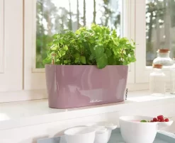 Lechuza® Delta Self-Watering Windowsill Planters -Garden Supplies Store 8592361 01V tif