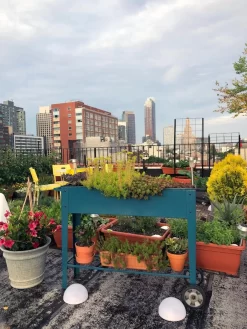 Demeter Mobile Planter Cart -Garden Supplies Store 8594148 01CUST tif