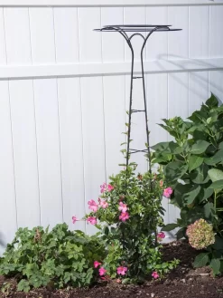 Essex Tuteur, 63" -Garden Supplies Store 8594162 0023 tif