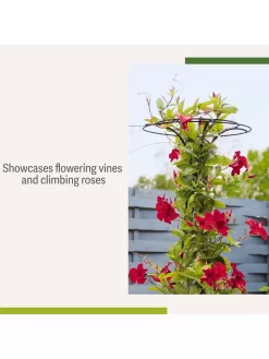 Essex Tuteur, 63" -Garden Supplies Store 8594162 4