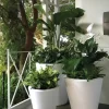 Dot TruDrop Self-Watering Planters