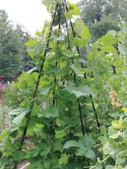 Titan Teepee Trellis -Garden Supplies Store 8595757 01EMP tif