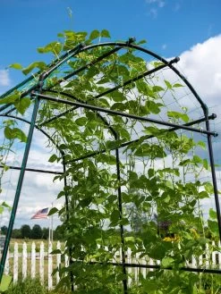 Titan Squash Tunnel -Garden Supplies Store 8596276 0122 tif