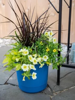 New Arrival -Garden Supplies Store 8596427 0035 tif