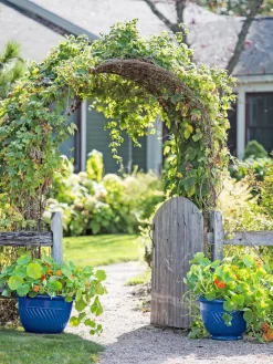 New Arrival -Garden Supplies Store 8596570 10231 tif