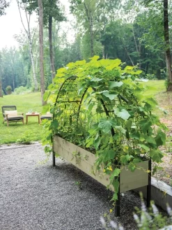 Self-Watering Elevated Planter Box, 2' X 8' -Garden Supplies Store 8596760 0046 tif