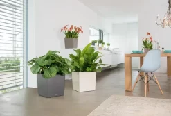 Lechuza® Cube Premium Planters -Garden Supplies Store 8597506 02V tif
