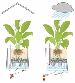 Lechuza® Cube Premium Planters -Garden Supplies Store 8597506 05V tif
