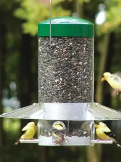 Birds Choice™ Classic Tube Feeder With Weather Guard Baffle, 12"