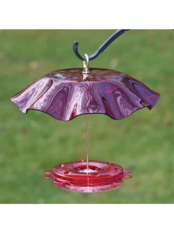 Birds Choice™ Hummingbird Nectar Feeder With Weather Guard Kit -Garden Supplies Store 8598910 01v