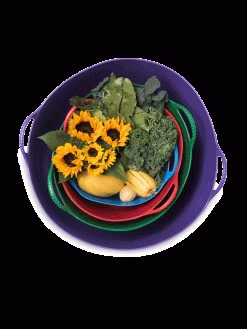 Colorful Tubtrug, 7 Gallon -Garden Supplies Store 8599088 20GalTubTrug gif 1