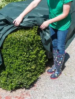 The Planket® Frost Protection Plant Cover, 10' X 20' -Garden Supplies Store 8599101 0929 tif