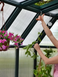 Canopia® By Palram Hobby Gardener Greenhouse, 8' -Garden Supplies Store 8599331 04V tif