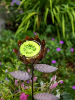 Dahlia Butterfly Feeder -Garden Supplies Store 8599369 683 tif