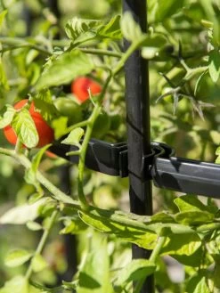 Titan Tomato Cages, Set Of 3 13 Titan Tomato Cages, Set Of 3 -Garden Supplies Store 8599861 0079 tif