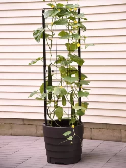 Gardener’s Victory Self-Watering Planter With Vine Trellis -Garden Supplies Store 8600177 9876 tif 1