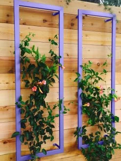 Ina Modern Wall Trellis Sr. -Garden Supplies Store 8600510 07V tif