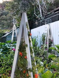 Akoris Garden Tuteur Jr. -Garden Supplies Store 8600517 07V tif